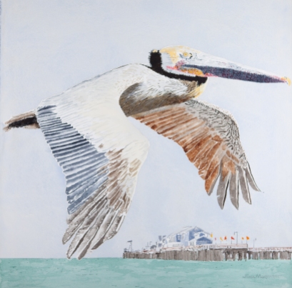 Brown Pelican #2, 23" x 23", Acrylic, $1,000