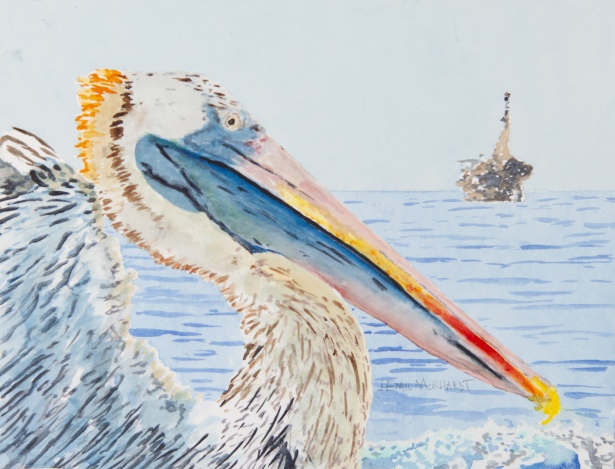 Brown Pelican #4, Coal Oil Point, Goleta. 8" x 10" watercolor on Arches 140lb cold-pressed paper. Matted. $125